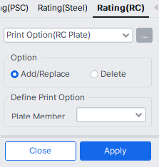 Rating-Bridge Rating Design-RC Design-print option(RC Plate).png