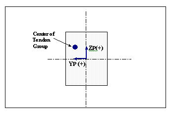 03-TA-Tendon.jpg
