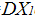 DX1.jpg