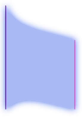 08_Polynomial Order.png