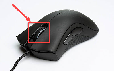 1. mouse.jpg
